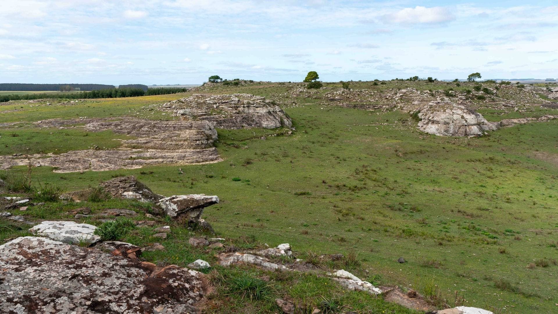 Vista amplia de los afloramientos de arenisca distribuidos en la pradera, formaciones geológicas de alto valor patrimonial.