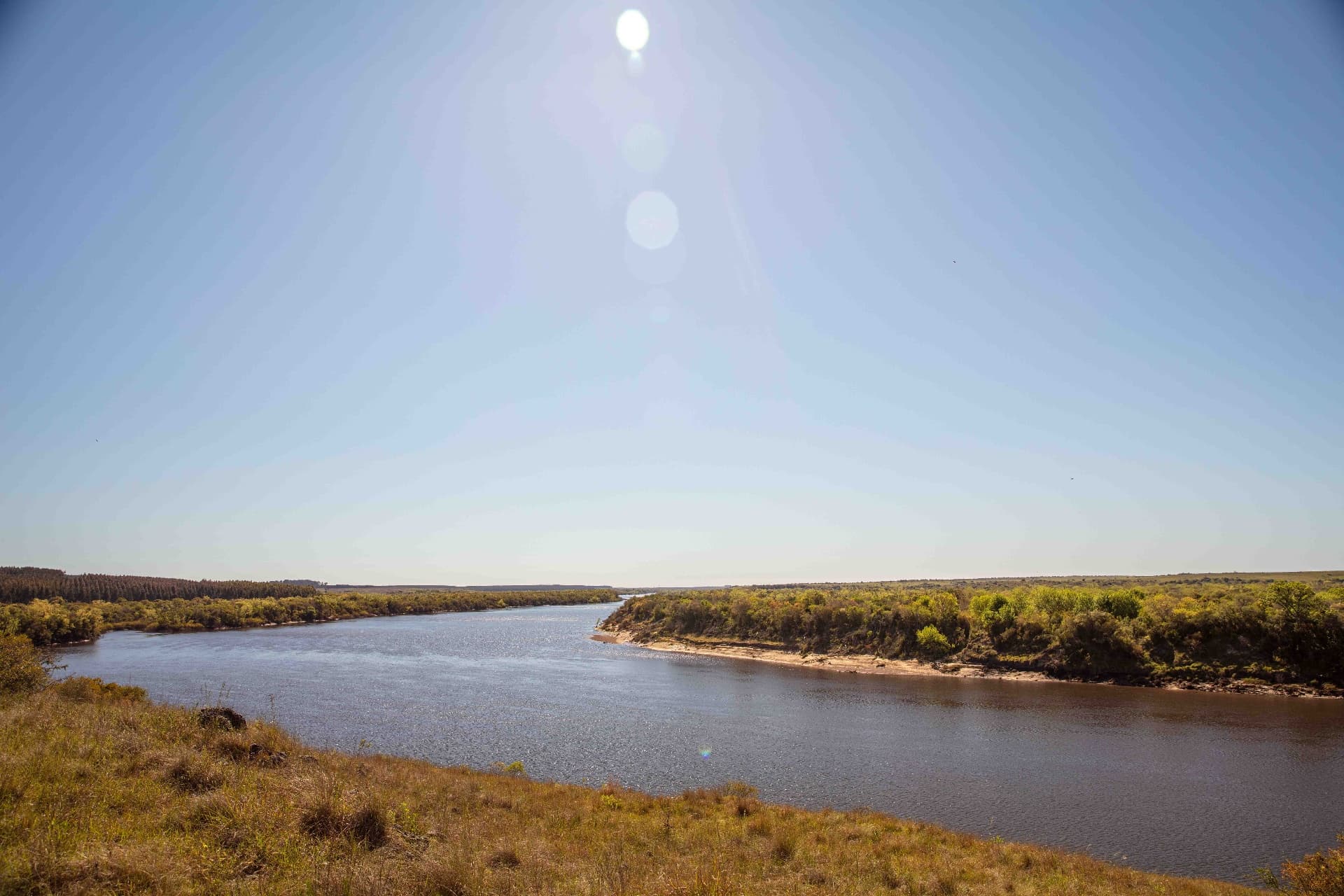 Vista panorámica del Río Negro con bosques ribereños en ambas márgenes
