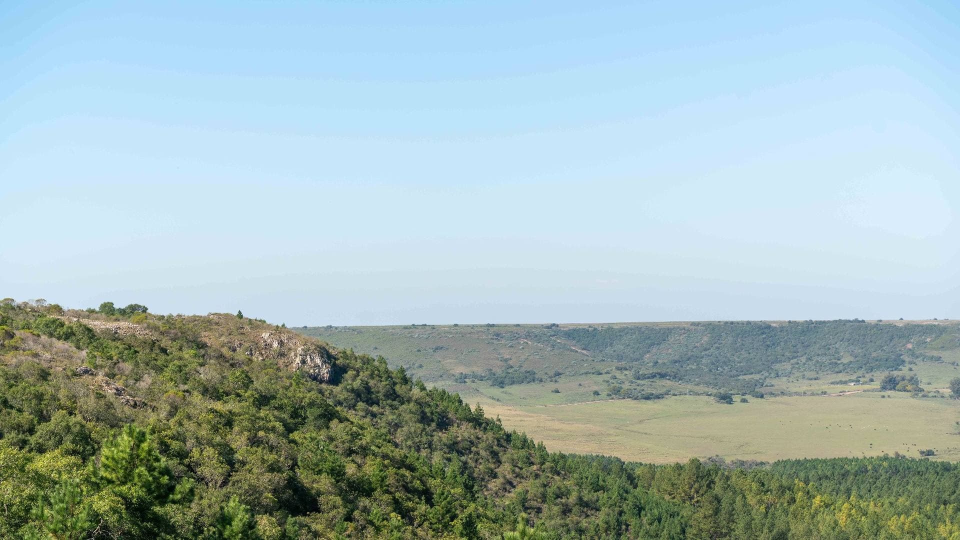 Bosque serrano y pradera natural desde lo alto del cerro, con vista al paisaje ondulado