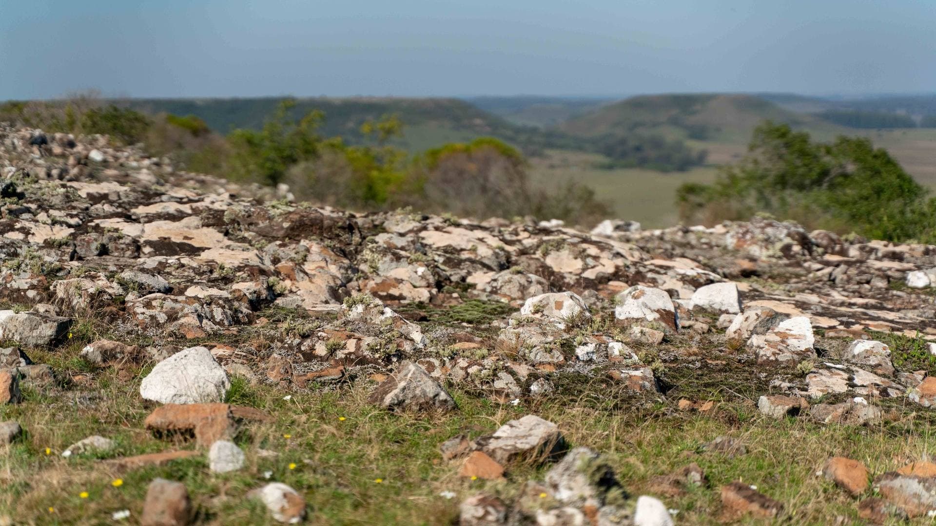 Detalle de las rocas con líquenes y pastos nativos en la cima del cerro