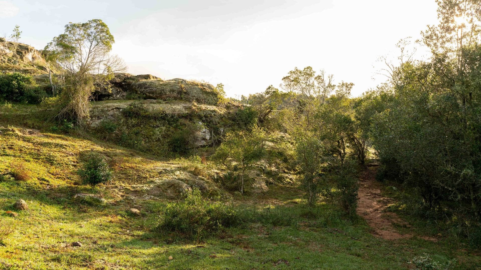 Sendero entre rocas