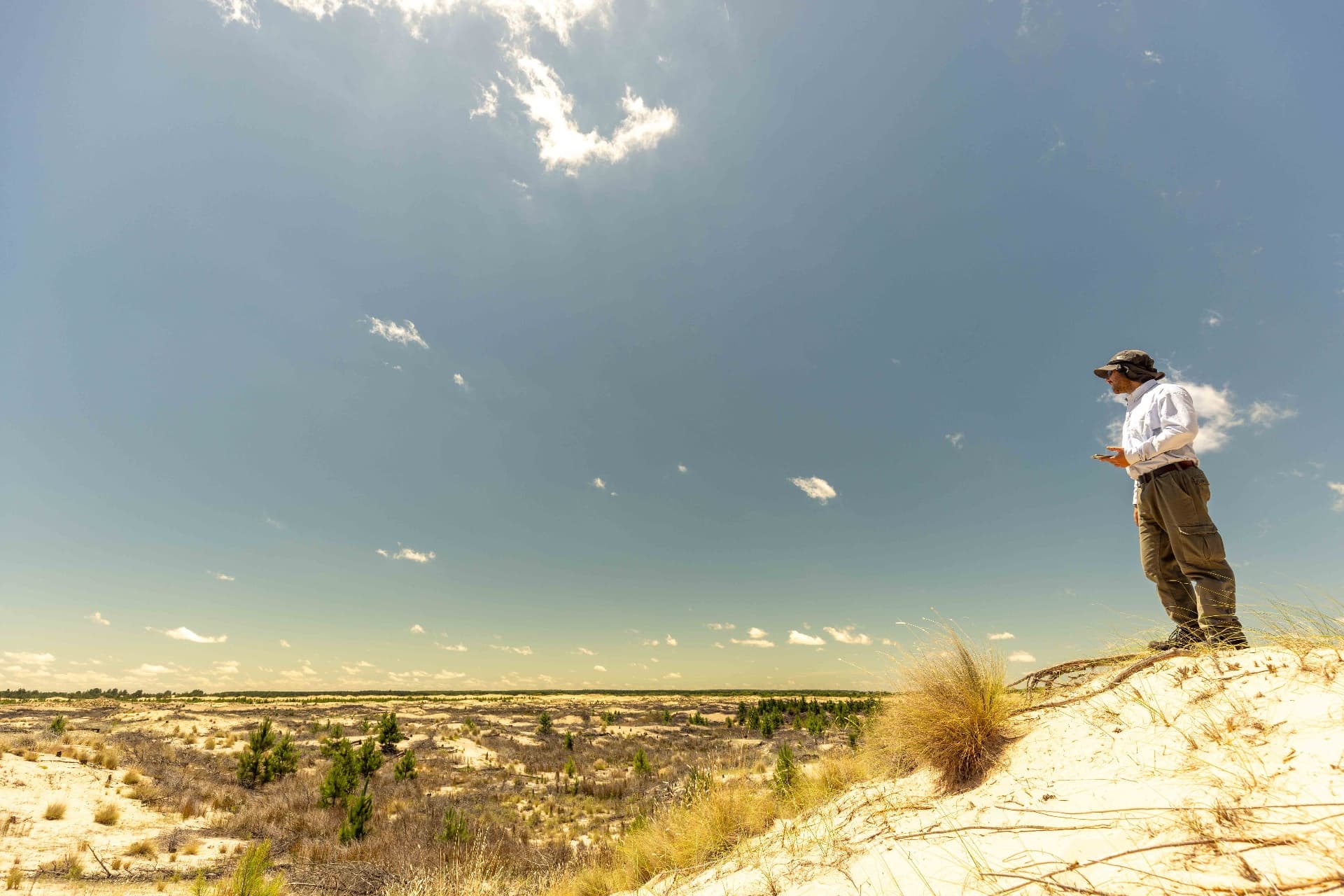 Researcher observing the landscape from the top of a dune with a panoramic view