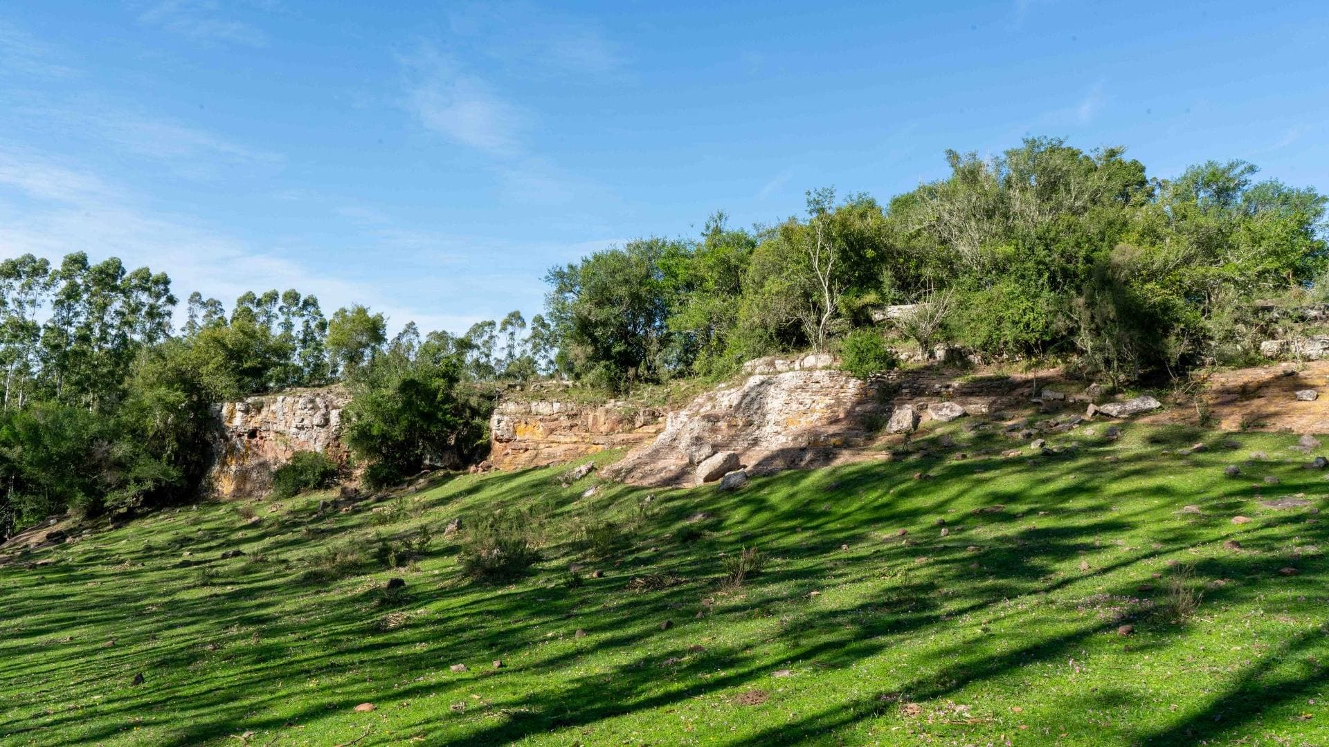Ladera verde con sombras de árboles nativos y afloramientos rocosos al fondo, paisaje característico de Lambaré.