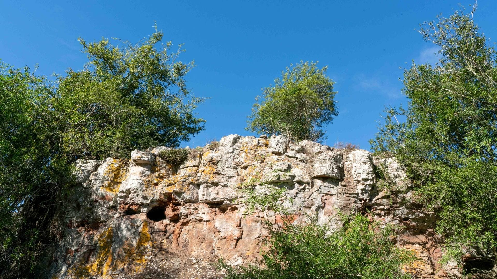 Formación rocosa imponente con cavidades naturales y vegetación nativa creciendo en las grietas y la cima.