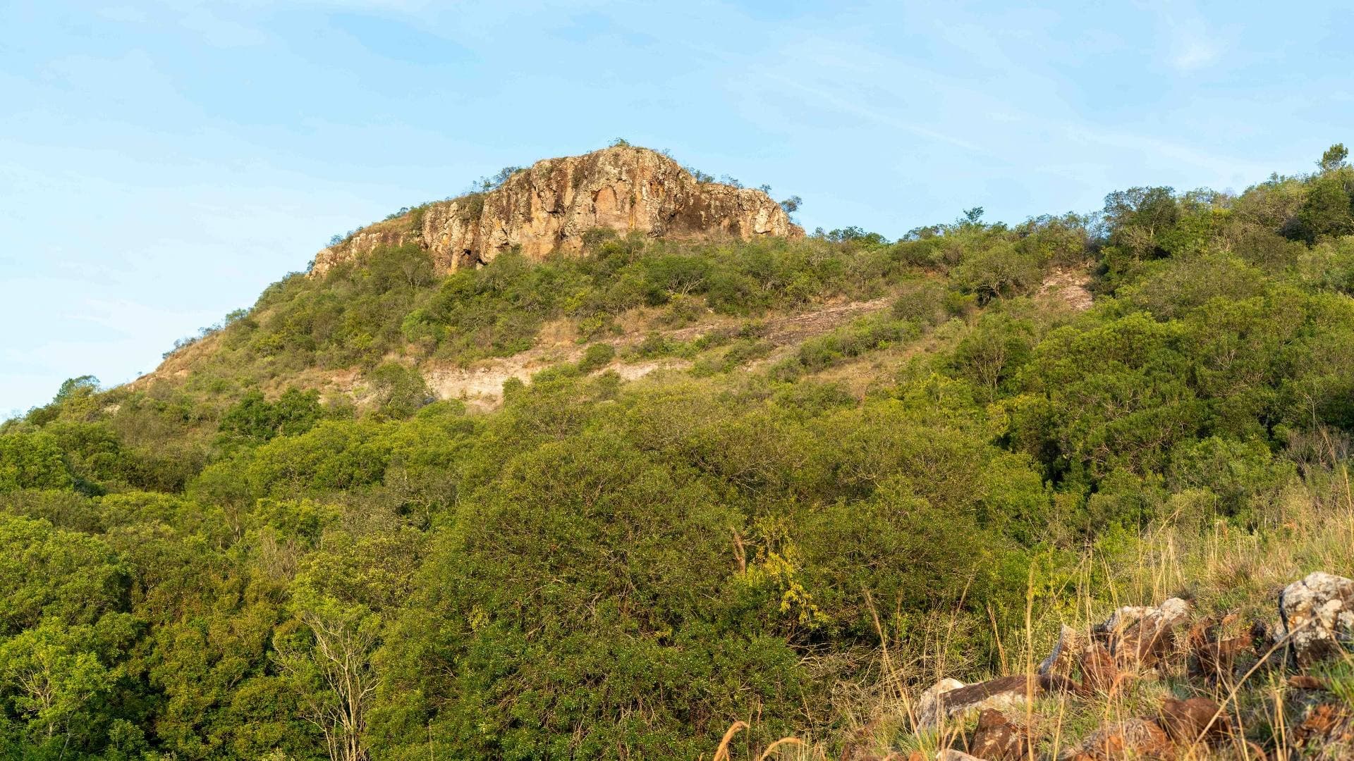 Perspectiva amplia del cerro con su vegetación nativa y afloramientos de arenisca en la cumbre.
