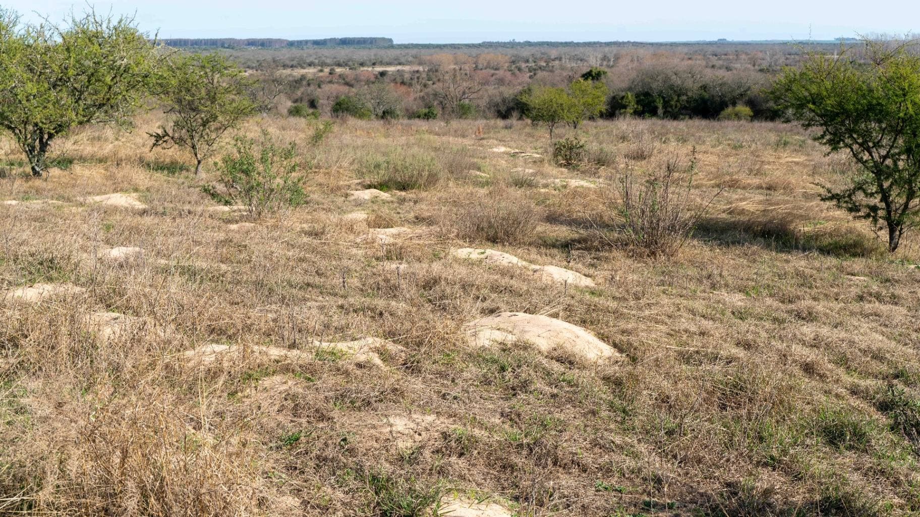 Vista panorámica del área de reserva