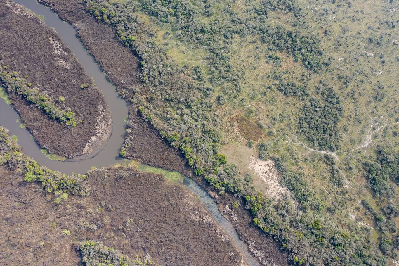 Meandro del río