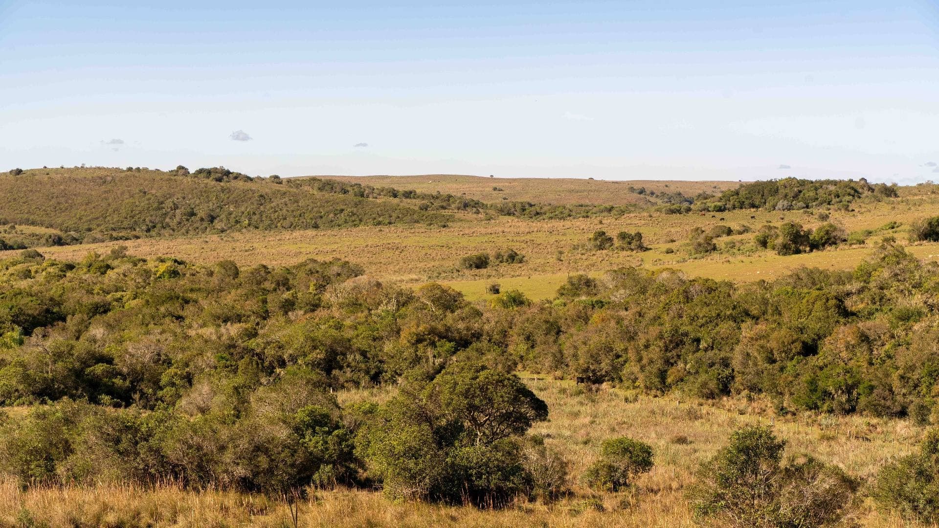 Vista panorámica del área de reserva